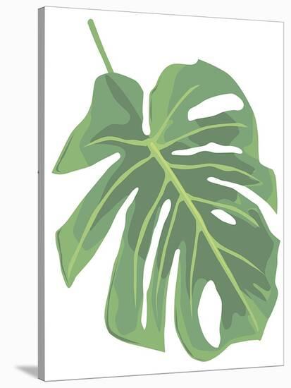 Philodendron 2-Jenny Kraft-Stretched Canvas