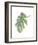 Philodendron 3-Jenny Kraft-Framed Art Print