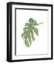 Philodendron 3-Jenny Kraft-Framed Art Print