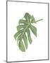 Philodendron 3-Jenny Kraft-Mounted Art Print