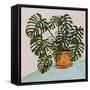 Philodendron Heart Leaf-null-Framed Stretched Canvas