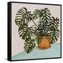 Philodendron Heart Leaf-null-Framed Stretched Canvas