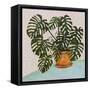 Philodendron Heart Leaf-null-Framed Stretched Canvas