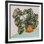 Philodendron Heart Leaf-null-Framed Art Print