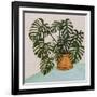 Philodendron Heart Leaf-null-Framed Art Print