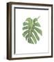 Philodendron I-Jenny Kraft-Framed Giclee Print