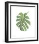 Philodendron I-Jenny Kraft-Framed Giclee Print