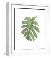 Philodendron I-Jenny Kraft-Framed Giclee Print