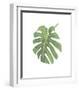 Philodendron I-Jenny Kraft-Framed Giclee Print