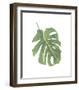 Philodendron II-Jenny Kraft-Framed Giclee Print