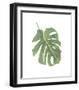 Philodendron II-Jenny Kraft-Framed Giclee Print