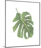 Philodendron II-Jenny Kraft-Mounted Giclee Print