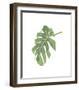 Philodendron III-Jenny Kraft-Framed Giclee Print