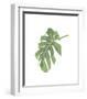 Philodendron III-Jenny Kraft-Framed Giclee Print