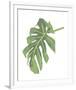 Philodendron III-Jenny Kraft-Framed Giclee Print