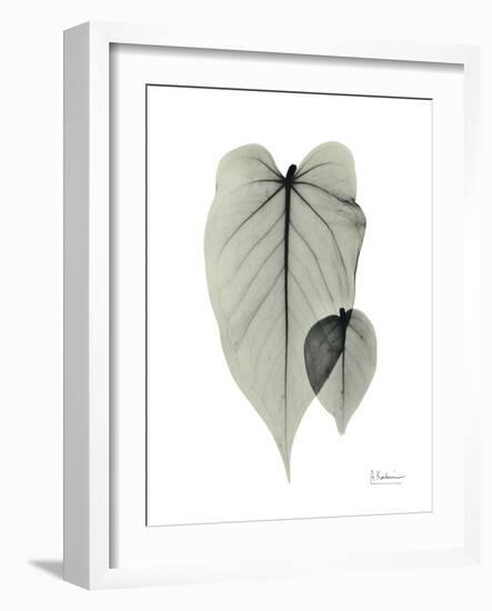 Philodendron Portrait-Albert Koetsier-Framed Art Print