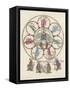 Philosophy Enthroned Surroun- -Ed by the Sciences-Engelhardt-Framed Stretched Canvas