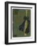 Phineas Thayer's 'Casey at the Bat'-null-Framed Photographic Print