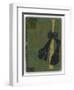 Phineas Thayer's 'Casey at the Bat'-null-Framed Photographic Print