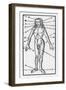 Phlebotomy Chart of the Human Body Showing-null-Framed Art Print