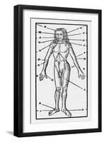 Phlebotomy Chart of the Human Body Showing-null-Framed Art Print