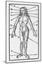 Phlebotomy Chart of the Human Body Showing-null-Mounted Art Print