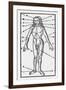 Phlebotomy Chart of the Human Body Showing-null-Framed Art Print