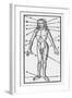 Phlebotomy Chart of the Human Body Showing-null-Framed Art Print