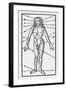 Phlebotomy Chart of the Human Body Showing-null-Framed Art Print