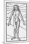 Phlebotomy Chart of the Human Body Showing-null-Mounted Art Print