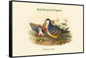 Phlogoenas Cruenta - Red-Breasted Pigeon-John Gould-Framed Stretched Canvas
