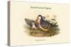 Phlogoenas Cruenta - Red-Breasted Pigeon-John Gould-Stretched Canvas