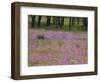 Phlox and Oak Trees in Springtime, Nixon, Texas, USA-Darrell Gulin-Framed Photographic Print