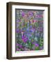 Phlox, Blue Bonnets and Indian Paintbrush Near Brenham, Texas, USA-Darrell Gulin-Framed Premium Photographic Print