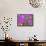 Phlox in Bloom Near Devine, Texas, USA-Darrell Gulin-Framed Stretched Canvas displayed on a wall