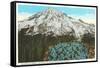 Phlox on Mt. Rainier, Washington-null-Framed Stretched Canvas