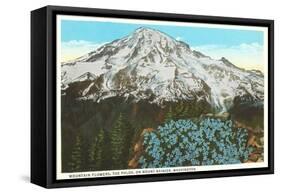 Phlox on Mt. Rainier, Washington-null-Framed Stretched Canvas