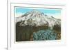 Phlox on Mt. Rainier, Washington-null-Framed Art Print