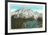 Phlox on Mt. Rainier, Washington-null-Framed Art Print