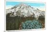 Phlox on Mt. Rainier, Washington-null-Mounted Art Print