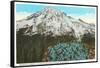 Phlox on Mt. Rainier, Washington-null-Framed Stretched Canvas