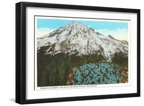Phlox on Mt. Rainier, Washington-null-Framed Art Print
