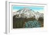 Phlox on Mt. Rainier, Washington-null-Framed Art Print