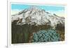 Phlox on Mt. Rainier, Washington-null-Framed Art Print