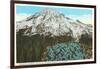 Phlox on Mt. Rainier, Washington-null-Framed Art Print