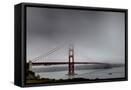 Framed Canvas