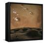 Phobos Orbits So Close to Mars That the Planet Would Fill the Little Moon's Sky-Stocktrek Images-Framed Stretched Canvas