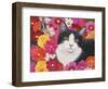 Phoebe-William Vanderdasson-Framed Giclee Print