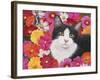 Phoebe-William Vanderdasson-Framed Giclee Print