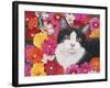 Phoebe-William Vanderdasson-Framed Giclee Print